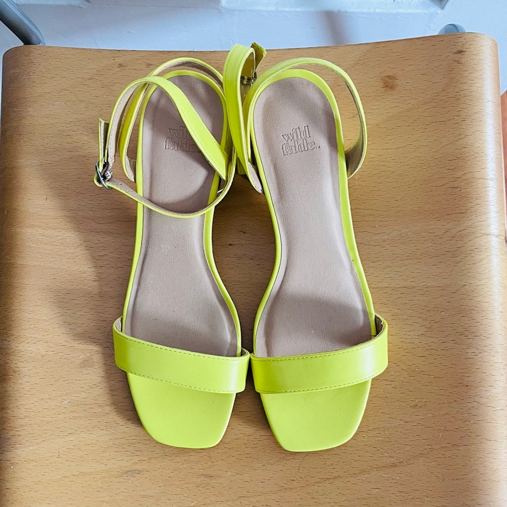 NWOT Wild Fable Heels